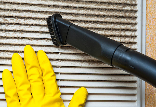 Best HVAC Duct Inspection Services  in Bithlo, FL